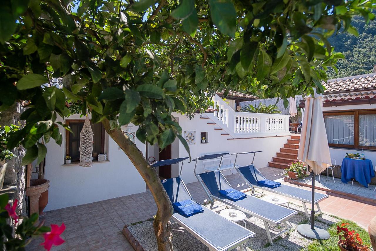 Вілла The Garden On Capri Масса-Лубренсе Екстер'єр фото