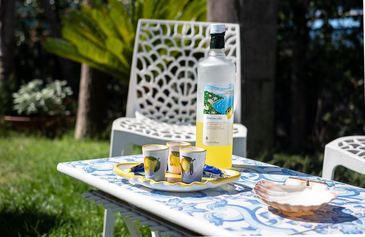 Вілла The Garden On Capri Масса-Лубренсе Екстер'єр фото