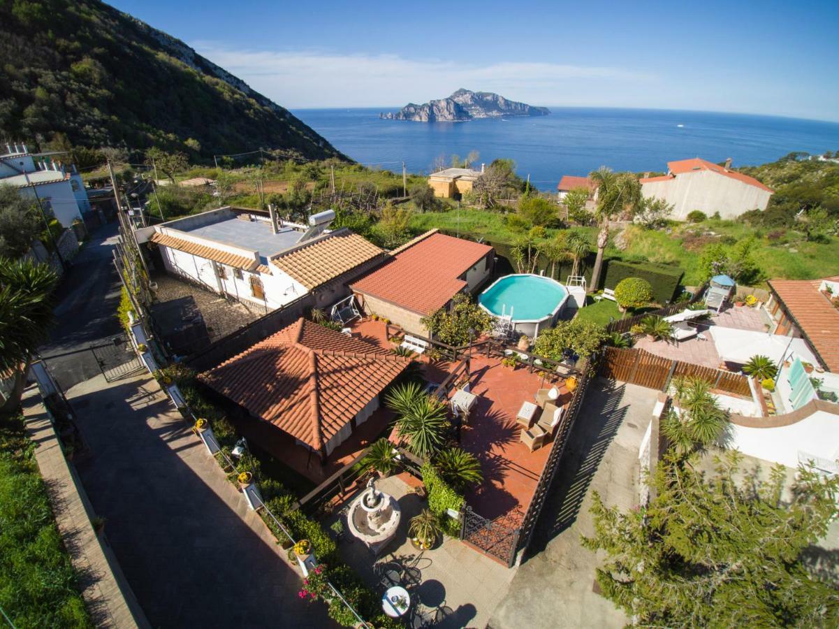 Вілла The Garden On Capri Масса-Лубренсе Екстер'єр фото