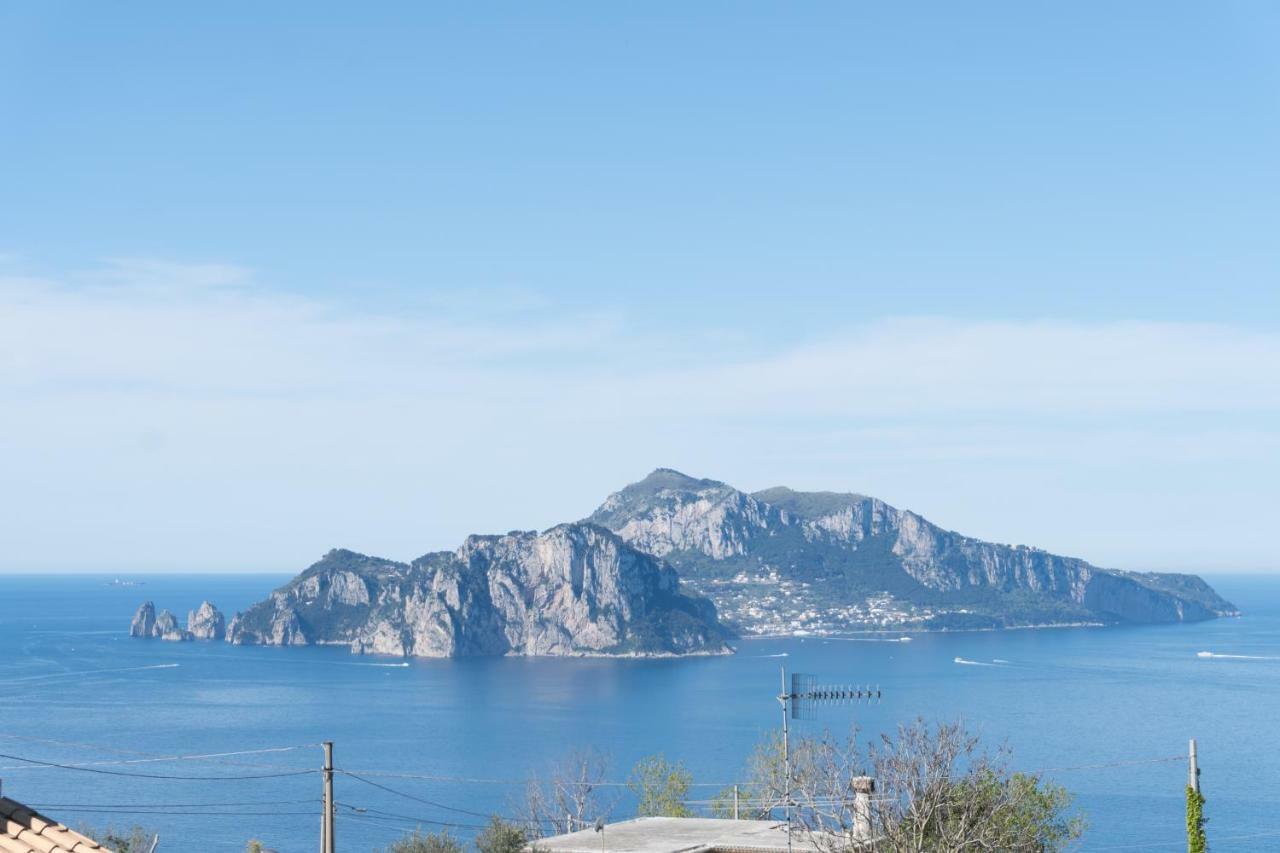 Вілла The Garden On Capri Масса-Лубренсе Екстер'єр фото